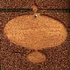 cropcircle028.jpg (39682 bytes)